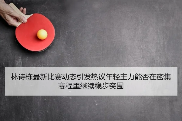 林诗栋最新比赛动态引发热议年轻主力能否在密集赛程里继续稳步突围